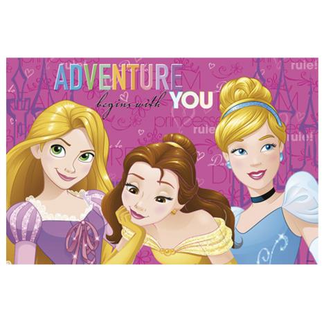 Disney Princess Adventure Placemat  £1.69