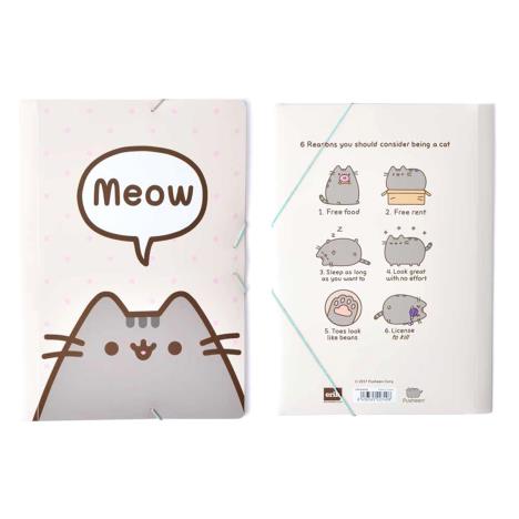 Pusheen Meow Elasto Folder  £6.29