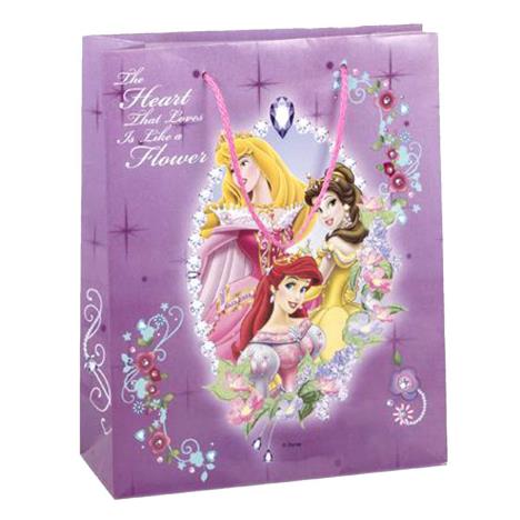 Disney Princess Medium Purple Gift Bag  £0.99