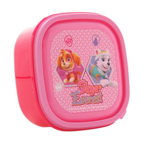 Paw Patrol Skye & Everest Sealable Snack Box  £1.49