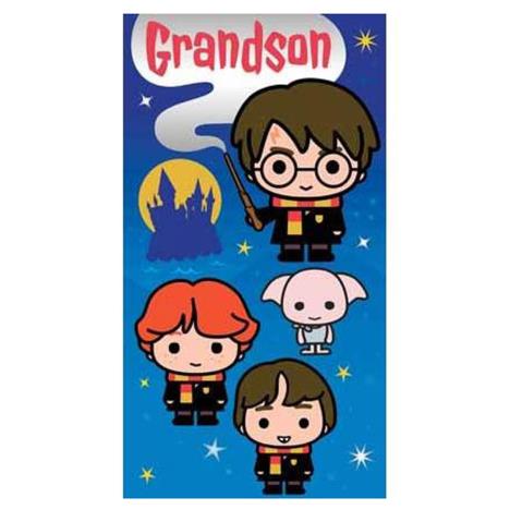Harry Potter Grandson Birthday Card  £2.45