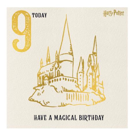 Nine Today Harry Potter 9th Birthday Card  £2.10