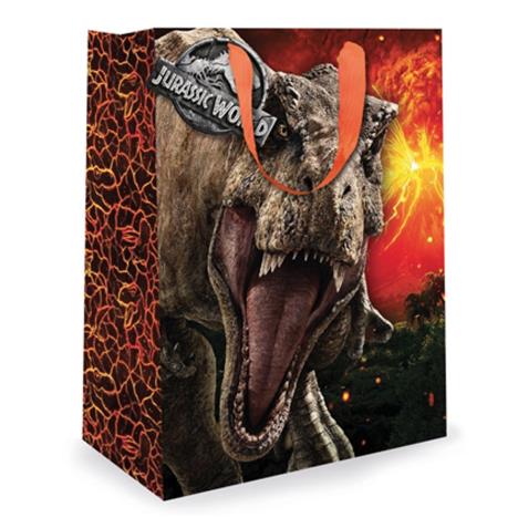 Jurassic World Large Gift Bag  £2.59