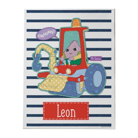 Personalised Moon and Me Mr Onion Canvas  £14.99