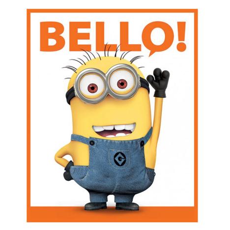 Bello Minions Mini Poster   £2.49