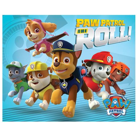 Paw Patrol On a Roll Mini Poster  £2.99