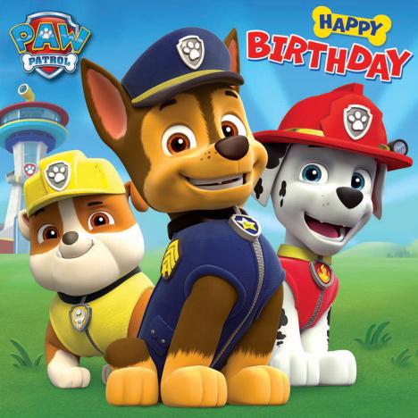 Happy Birthday Paw Patrol Birthday Card  £1.99