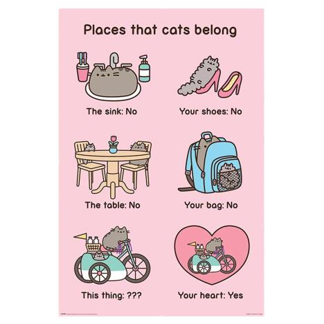 Pusheen Places Cats Belong Maxi Poster  £4.99