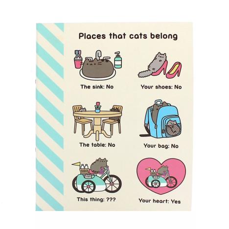 Pusheen Places That Cats Belong A4 Ring Binder  £4.99