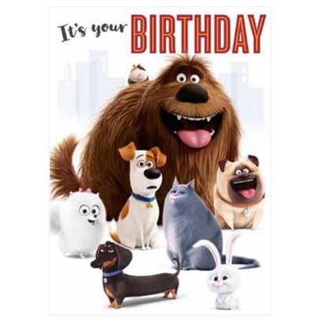 Secret Life Of Pets 2 Birthday Sound Card  £4.99