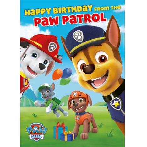 Paw Patrol Birthday Sound Card  £4.99
