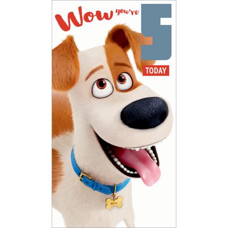 5 Today The Secret Life of Pets 5th Birthday Card  £1.29