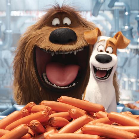 The Secret Life of Pets Duke & Max Card  £1.85