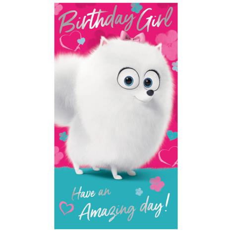Birthday Girl The Secret Life Of Pet Birthday Card  £2.45