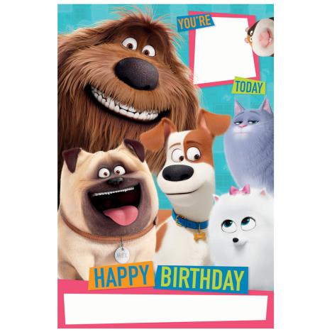 Personalise Your Own The Secret Life Of Pet Birthday Card  £2.39