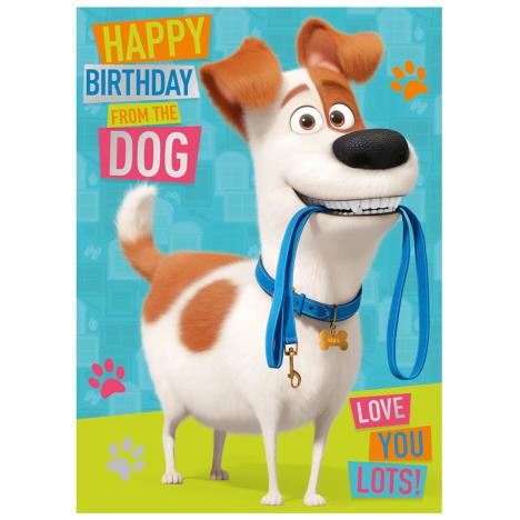 From The Dog The Secret Life Of Pet Birthday Card  £1.75