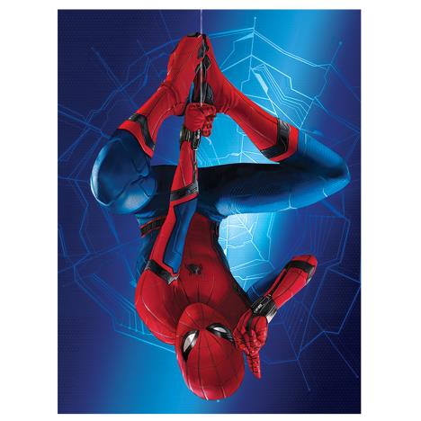 Spider-Man Homecoming Hanging Canvas Print (60cm x 80cm)  £39.99