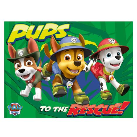 Paw Patrol Jungle Pups Canvas Print (60cm x 80cm)  £19.99
