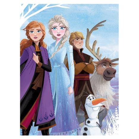Disney Frozen 2 Stronger Together Large Canvas Print (60cm x 80cm)  £24.99
