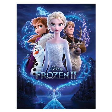 Frozen 2 Magic Canvas Print  (30 x 40cm)  £9.99