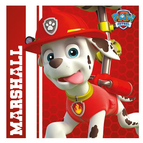 Paw Patrol Marshall Canvas Print (40cm x 40cm)  £24.99